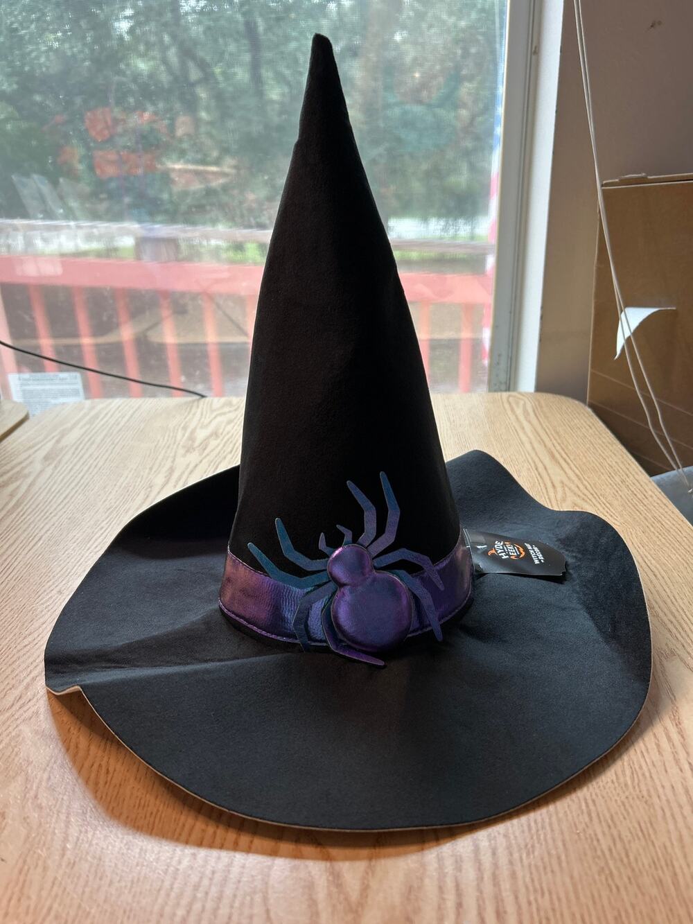 New Halloween👻Hyde n Eek Witch🧙with Spider🕷️Felt Hat Decoration 11 3/4" x 14"